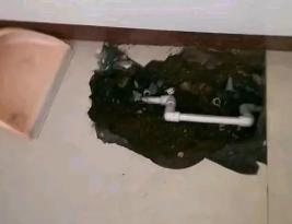 保定卫生间测漏水多少钱